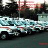 drago_skunk-ambulance
