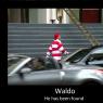 Krieg_Fox-waldo2