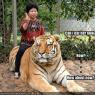 Anonymous-funny-pictures-tiger-is-interested-in-eating-a-tourist