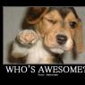 Anonymous-whos-awesome-500x400