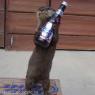 Fred_Bedderhead-beer-stealing-weasel
