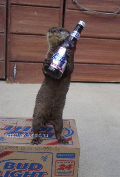 Fred_Bedderhead-beer-stealing-weasel