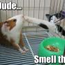 Anonymous-dude_smell_this0