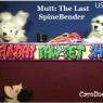 Caroline-spinebender