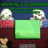 Shane_Graytail-GTrainbows