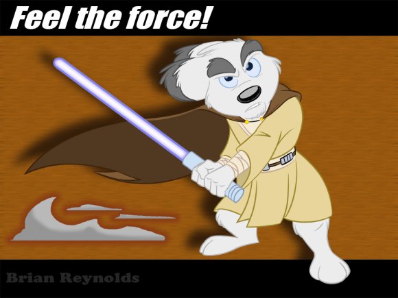 Reynolds-Mutt_Jedi