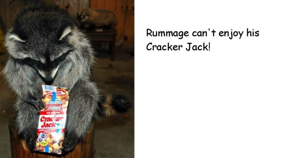 Anonymous-Rummage_Crackerjack