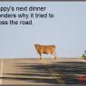 Anonymous-Cow-in-Road