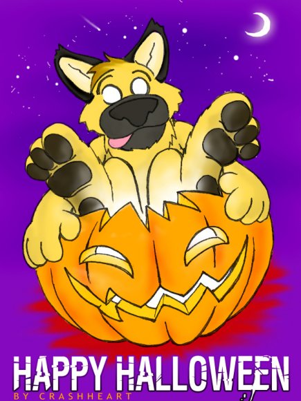 Anonymous-funday_pawpet_blitz_in_a_pumpkin2