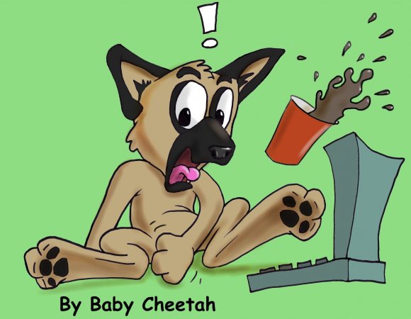 Baby_Cheetah-BlitzTouch