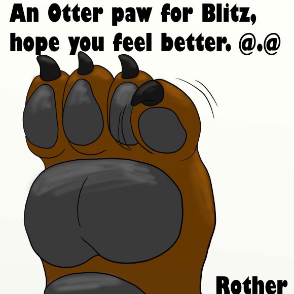 rother-paw_for_blitz