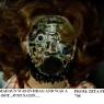 Zeta_Phi_708-OMADAUN_FEMBOT