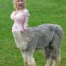 Gerald-529c1fe7-6674-4c3d-8e29-1eeb344f5172