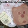 Shane_Graytail-BBear