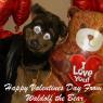 Waldolf-DSCN1740