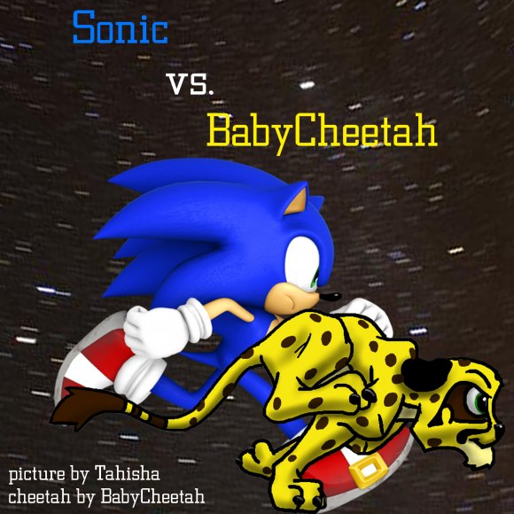 Tahisha-Sonic_vs._BabyCheetah