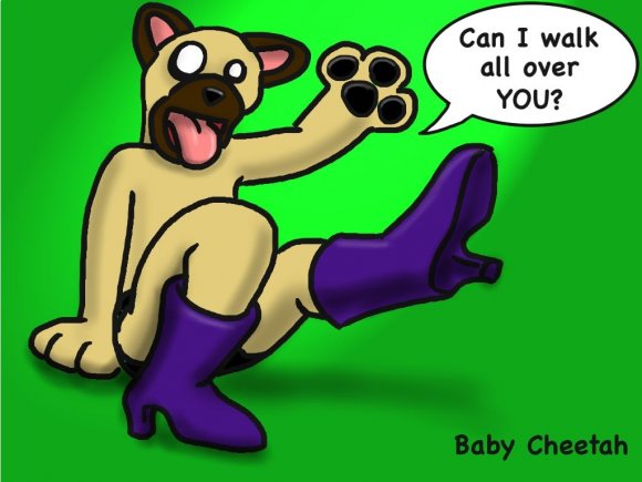 Baby_Cheetah-blitzBoots