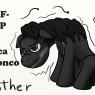 rother-gof-mlp
