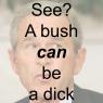 Yse-a_bush_can_be_a_dick