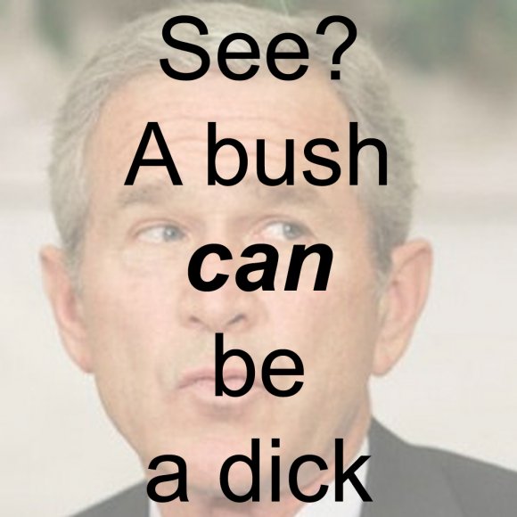 Yse-a_bush_can_be_a_dick