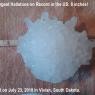 TyHusky-fps-hailstone1