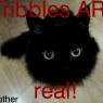 rother-tribble_real