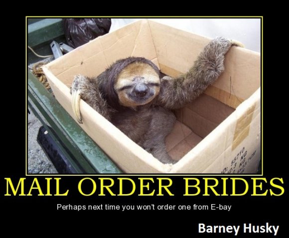 Barney_Husky-Mail_order_brides