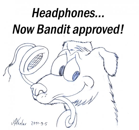 BanditHeadphones