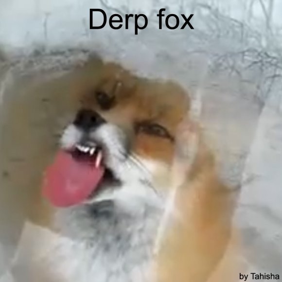 derp fox