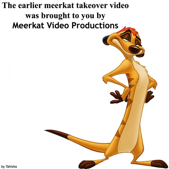 Meerkat Video Productions