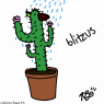 blitz_cactus2