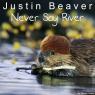 Justin Beaver poster