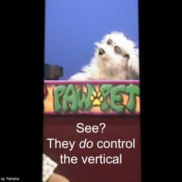 Controlling the vertical