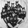 ziegfeldcats