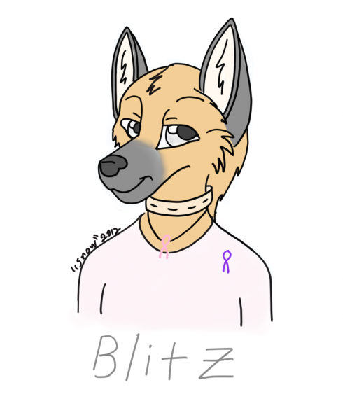 blitz