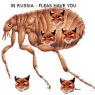 ticer-fleas-have-you