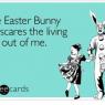 the bunny scares me