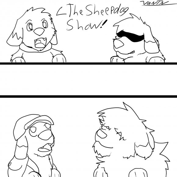 sheepdog show