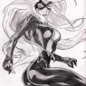 The_Black_Cat_by_Foxin