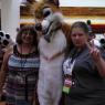 IMG_20130817_145758_388