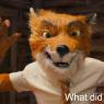 What did the Fox say 3