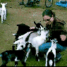 tumblr_mywunlOLd41qdlh1io1_250