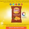 90ef13bfc3f6639cd4a3f3775590d352-10-of-the-funniest-lays-chip-flavors-we-wish-existed