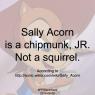 Sally Acorn Factcheck