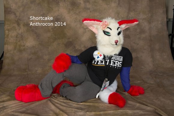 Anthrocon2014