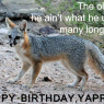 Happy Birthday, Yappy