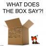 Tahisha Arvo - What Does the Box Say