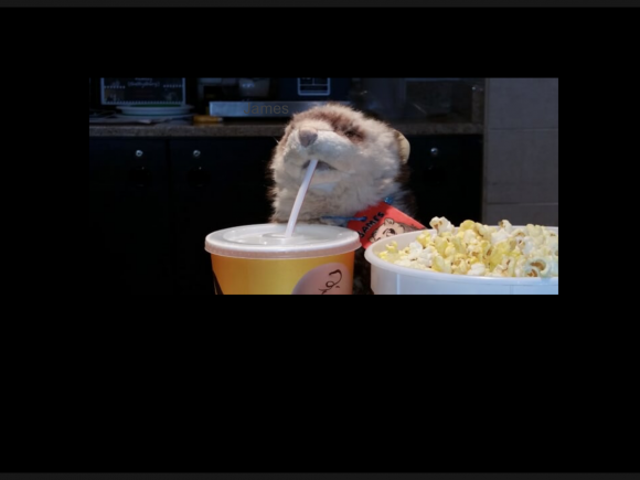 James Ferret - Ferret at the movies