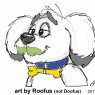 Roofus Roo - 2017-03-12_01 Muttstache