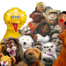 Showbiz Chuck - puppet group